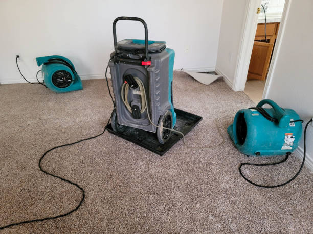  Ovid, MI Water damage restoration Pros