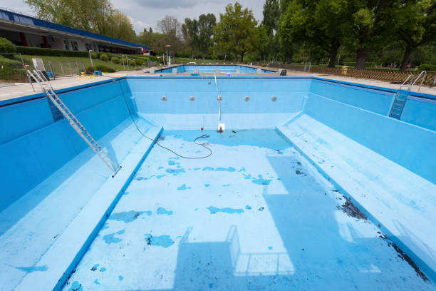 Best Water damage restoration specialists  in Ovid, MI