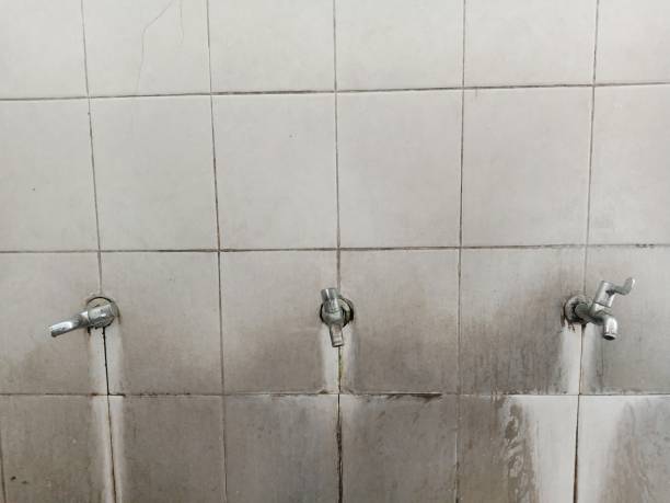 Best Water damage restoration process  in Ovid, MI