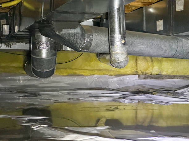 Best Emergency water damage restoration  in Ovid, MI