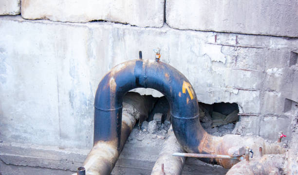 Best Carpet water damage restoration  in Ovid, MI