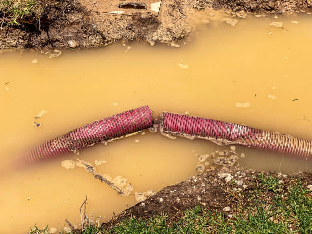 Best Water damage restoration services  in Ovid, MI
