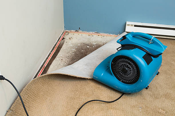 Best Water damage restoration near me  in Ovid, MI